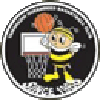 https://img.aisile-piano.com/img/basketball/team/e416830f4083698237c559f8988ddb25.png