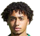 https://img.aisile-piano.com/img/football/player/347a6d58ae7ec0425a4d42bc9215c411.png