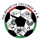 https://img.aisile-piano.com/img/football/team/a959d2066903822c909f3d2e8ecb545e.png