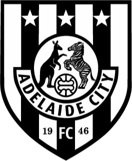 https://img.aisile-piano.com/img/football/team/c53c8f45736002b26511570a746b6b64.png